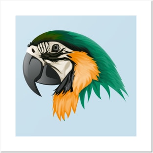 Parrot Green Feather Posters and Art